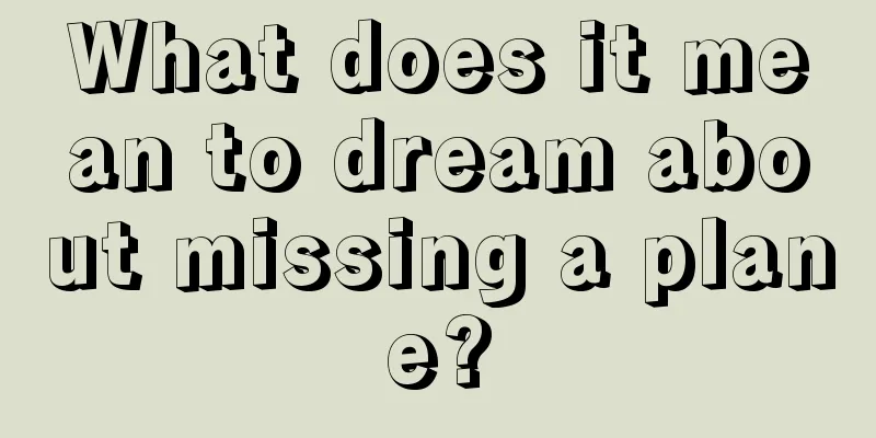 What does it mean to dream about missing a plane?