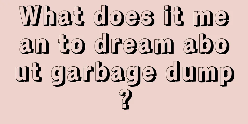 What does it mean to dream about garbage dump?