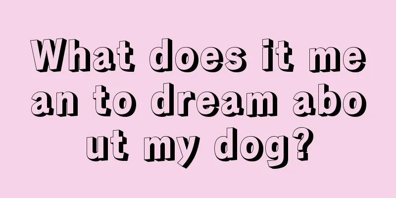 What does it mean to dream about my dog?