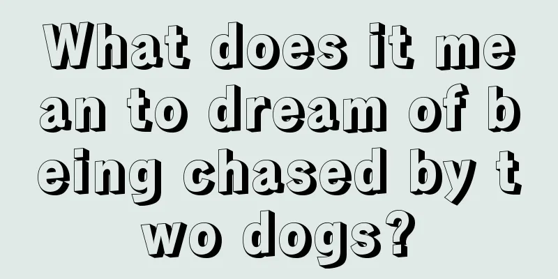 What does it mean to dream of being chased by two dogs?