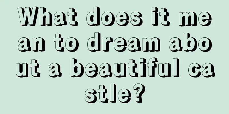 What does it mean to dream about a beautiful castle?