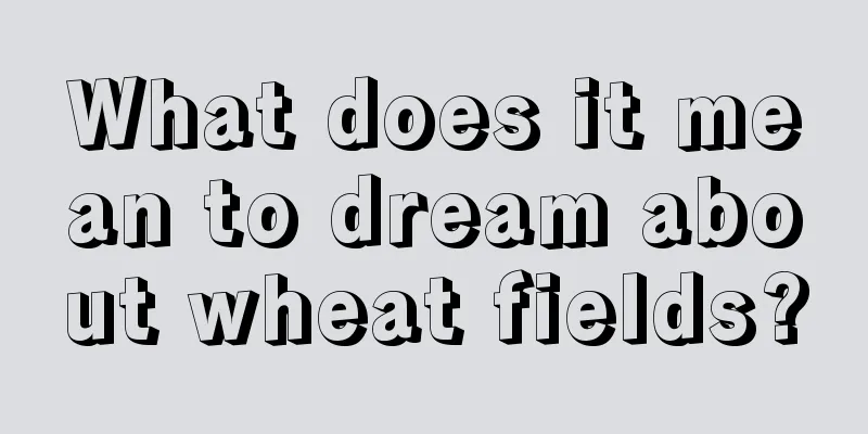 What does it mean to dream about wheat fields?