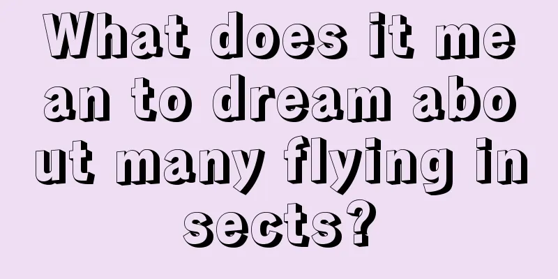 What does it mean to dream about many flying insects?