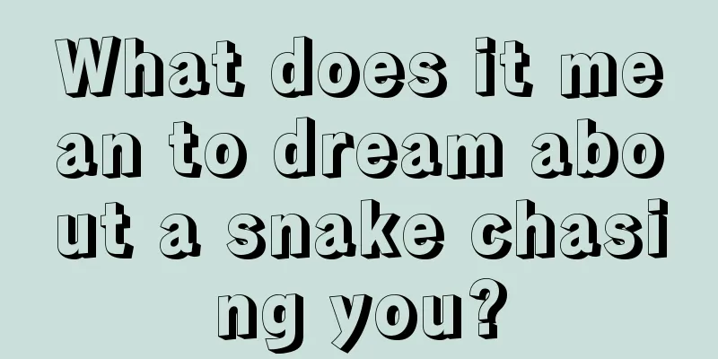 What does it mean to dream about a snake chasing you?