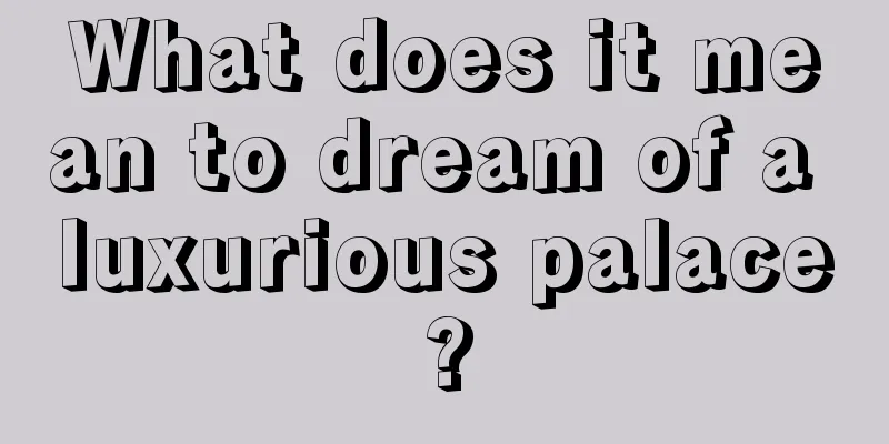 What does it mean to dream of a luxurious palace?