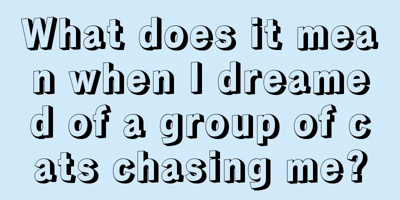 What does it mean when I dreamed of a group of cats chasing me?