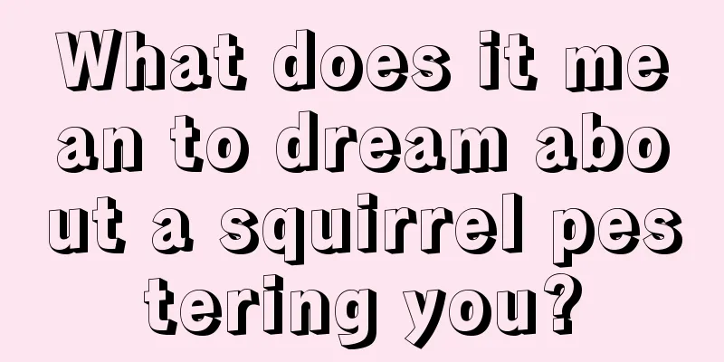 What does it mean to dream about a squirrel pestering you?