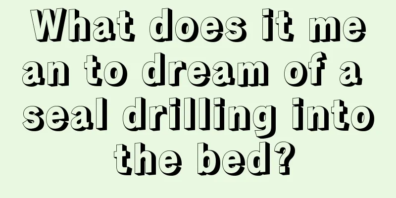 What does it mean to dream of a seal drilling into the bed?