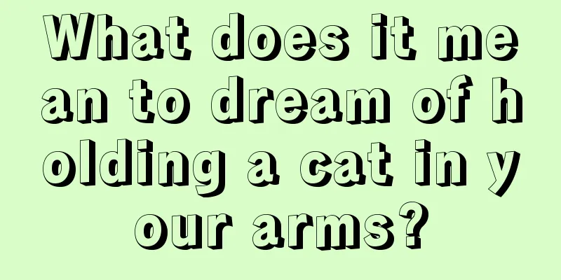 What does it mean to dream of holding a cat in your arms?