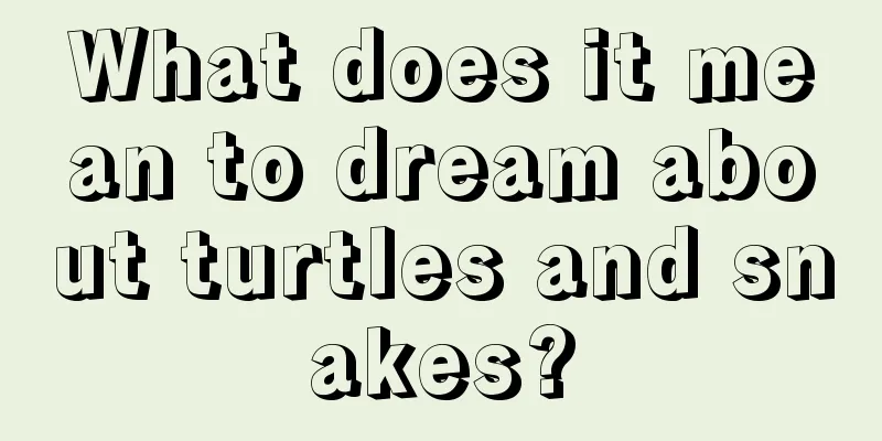 What does it mean to dream about turtles and snakes?