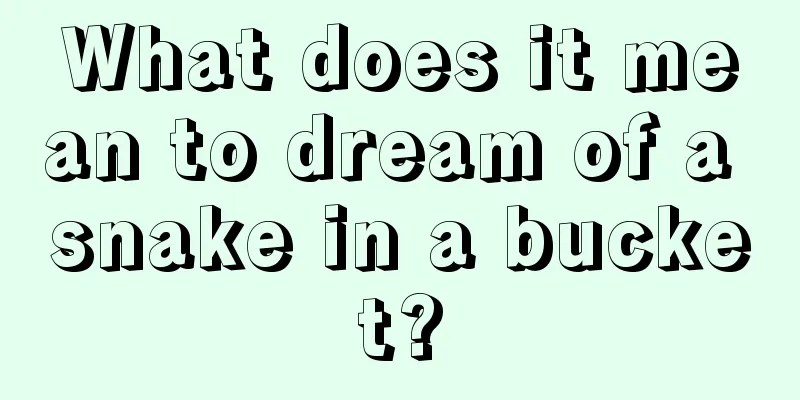 What does it mean to dream of a snake in a bucket?