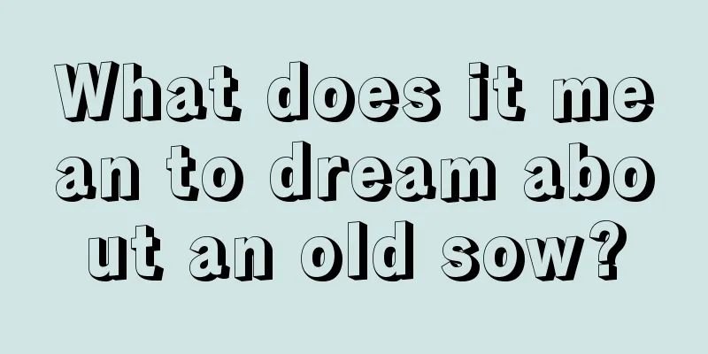 What does it mean to dream about an old sow?