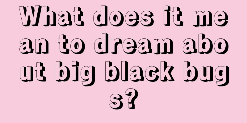 What does it mean to dream about big black bugs?