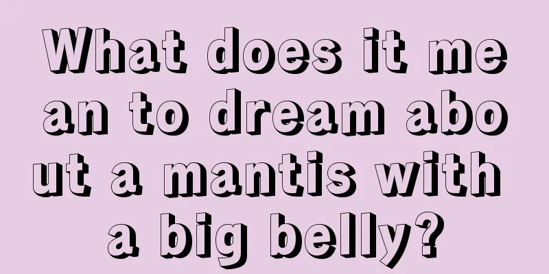 What does it mean to dream about a mantis with a big belly?