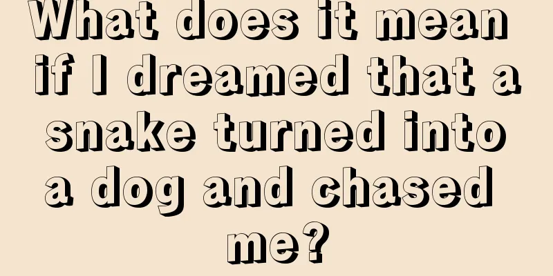 What does it mean if I dreamed that a snake turned into a dog and chased me?