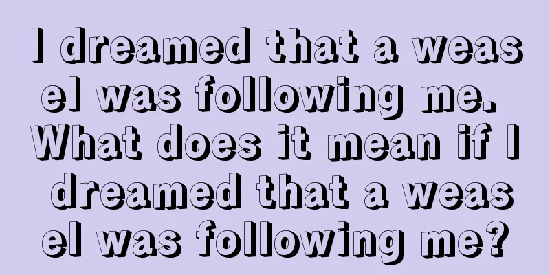 I dreamed that a weasel was following me. What does it mean if I dreamed that a weasel was following me?