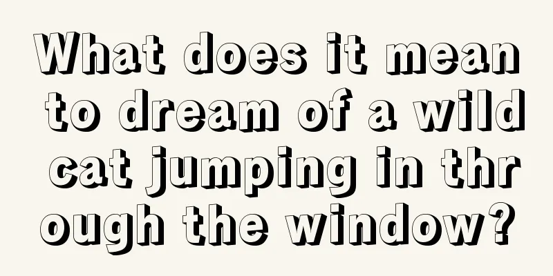 What does it mean to dream of a wild cat jumping in through the window?