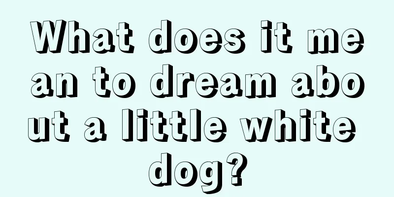 What does it mean to dream about a little white dog?