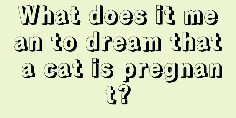 What does it mean to dream that a cat is pregnant?