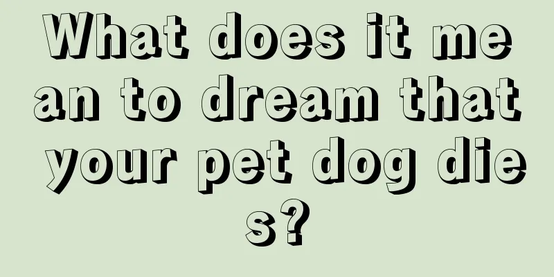 What does it mean to dream that your pet dog dies?