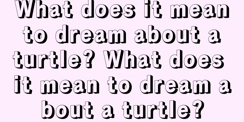 What does it mean to dream about a turtle? What does it mean to dream about a turtle?