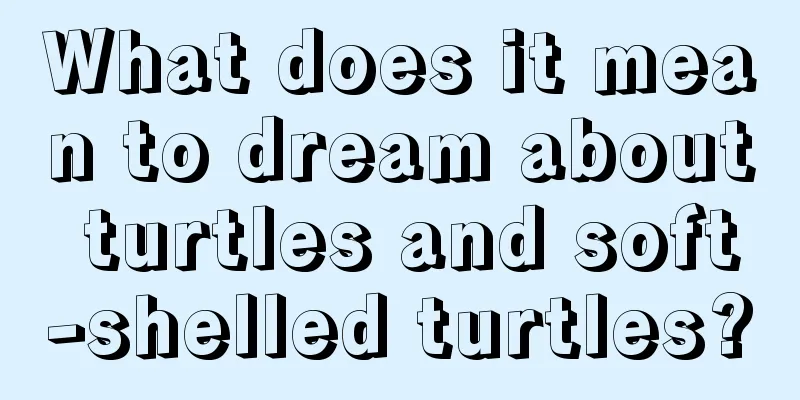 What does it mean to dream about turtles and soft-shelled turtles?