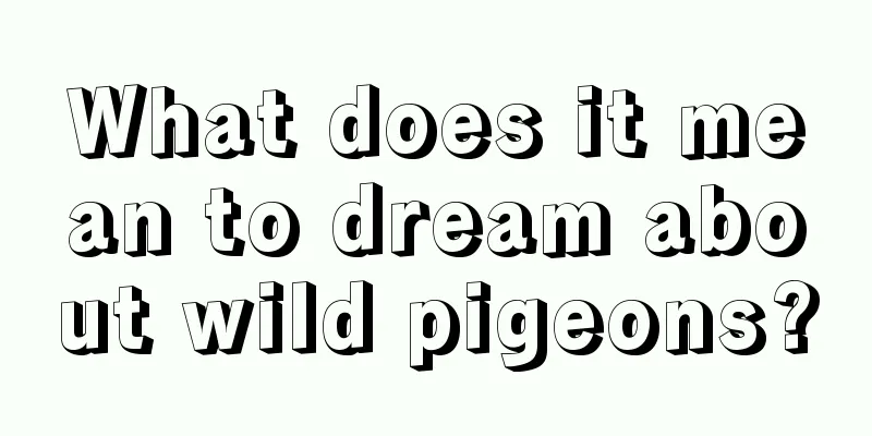 What does it mean to dream about wild pigeons?