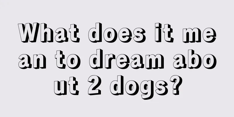 What does it mean to dream about 2 dogs?