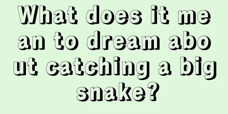 What does it mean to dream about catching a big snake?