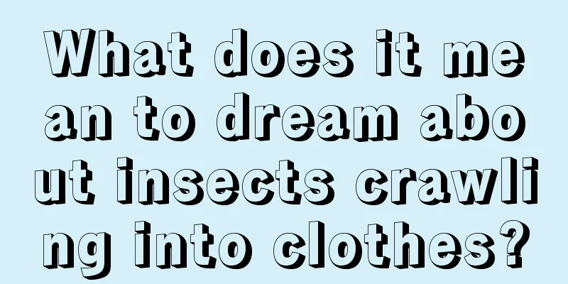 What does it mean to dream about insects crawling into clothes?