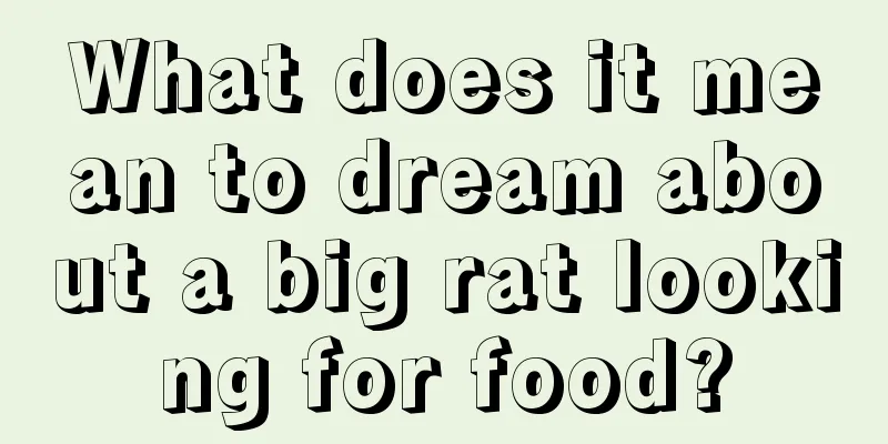 What does it mean to dream about a big rat looking for food?