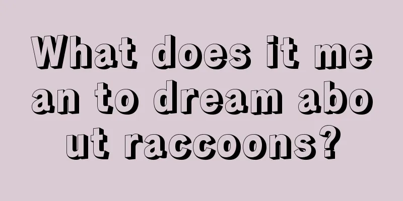 What does it mean to dream about raccoons?