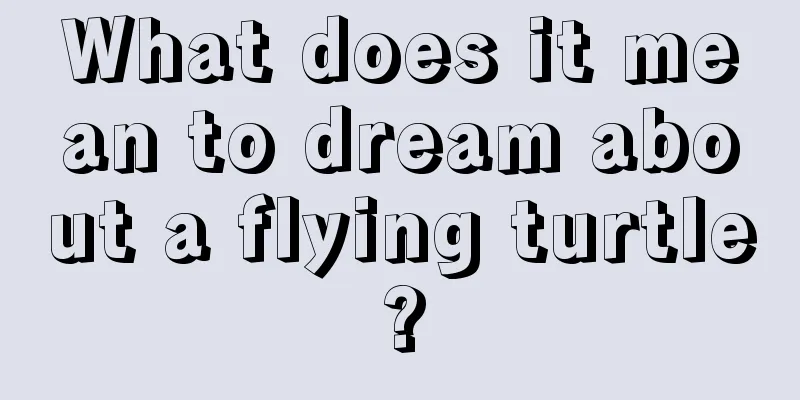 What does it mean to dream about a flying turtle?