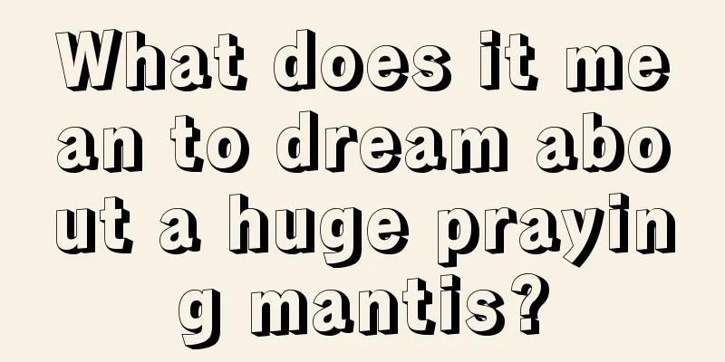 What does it mean to dream about a huge praying mantis?