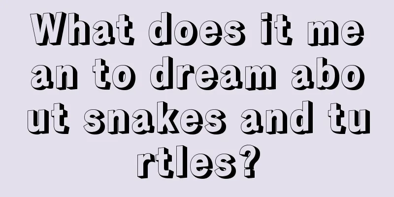 What does it mean to dream about snakes and turtles?