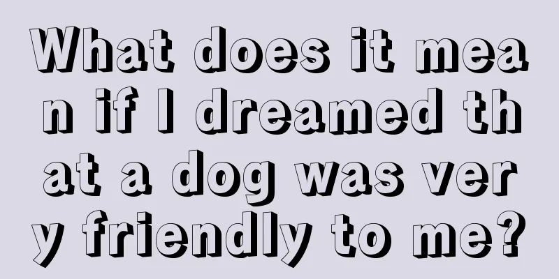 What does it mean if I dreamed that a dog was very friendly to me?