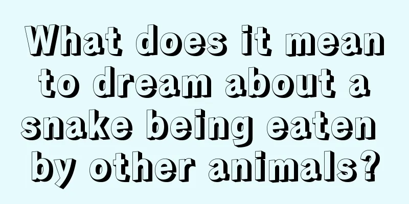 What does it mean to dream about a snake being eaten by other animals?