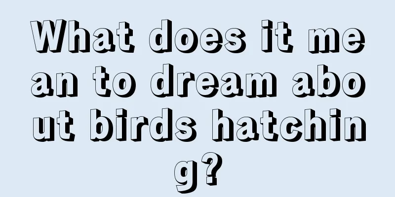 What does it mean to dream about birds hatching?