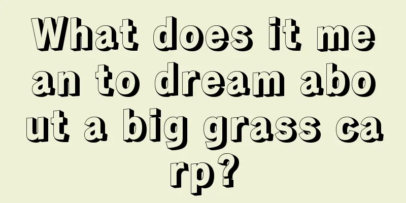 What does it mean to dream about a big grass carp?