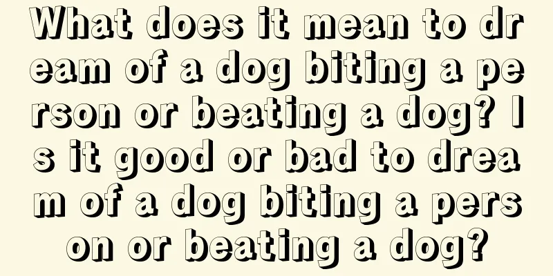 What does it mean to dream of a dog biting a person or beating a dog? Is it good or bad to dream of a dog biting a person or beating a dog?