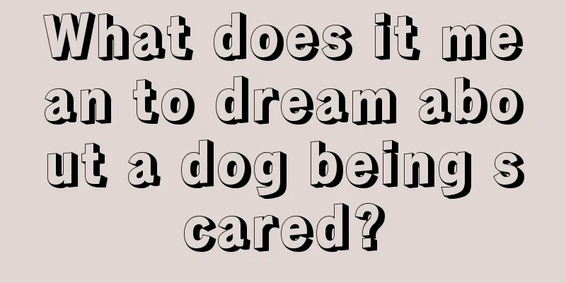 What does it mean to dream about a dog being scared?