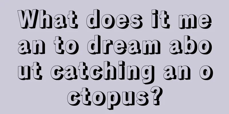 What does it mean to dream about catching an octopus?