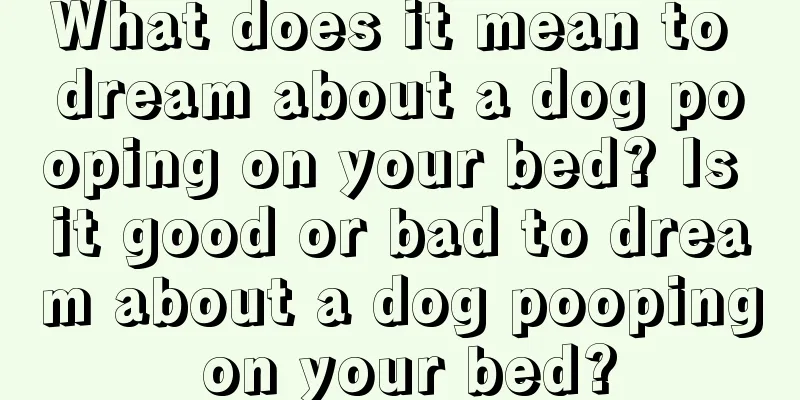 What does it mean to dream about a dog pooping on your bed? Is it good or bad to dream about a dog pooping on your bed?