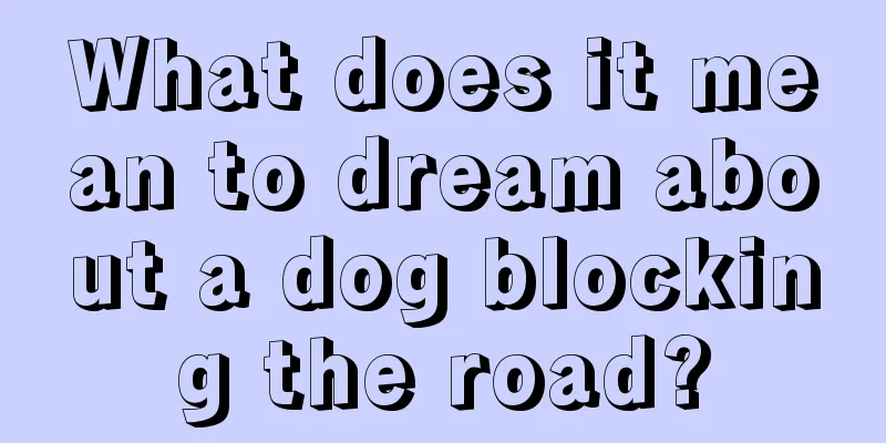 What does it mean to dream about a dog blocking the road?