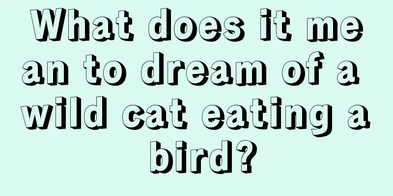 What does it mean to dream of a wild cat eating a bird?