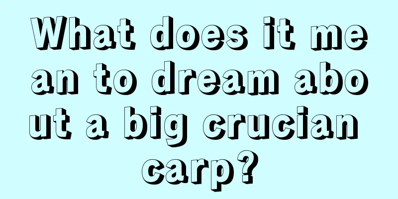 What does it mean to dream about a big crucian carp?