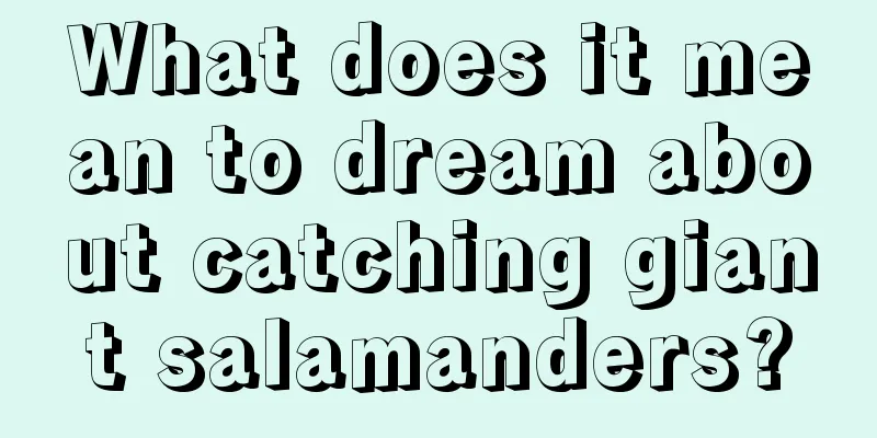 What does it mean to dream about catching giant salamanders?