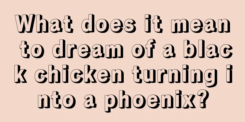 What does it mean to dream of a black chicken turning into a phoenix?