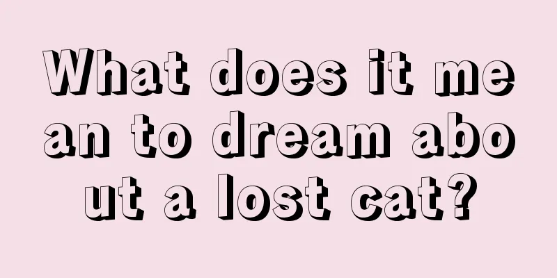 What does it mean to dream about a lost cat?