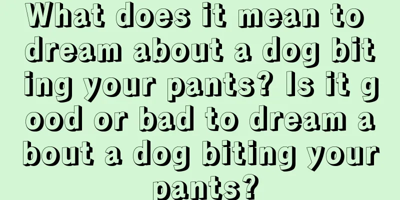 What does it mean to dream about a dog biting your pants? Is it good or bad to dream about a dog biting your pants?